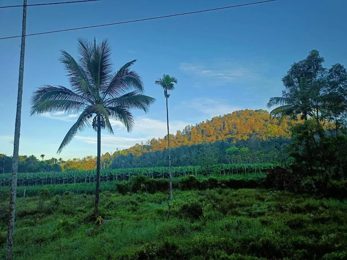 Nostalgia Homestay Vythiri