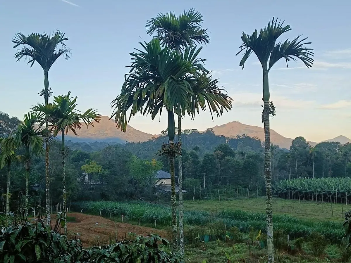 Villa Nostalgia Homestay Vythiri